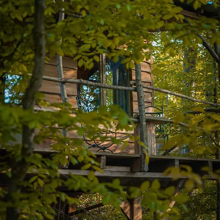 Chalet La Aux Ecureuils Philippeville