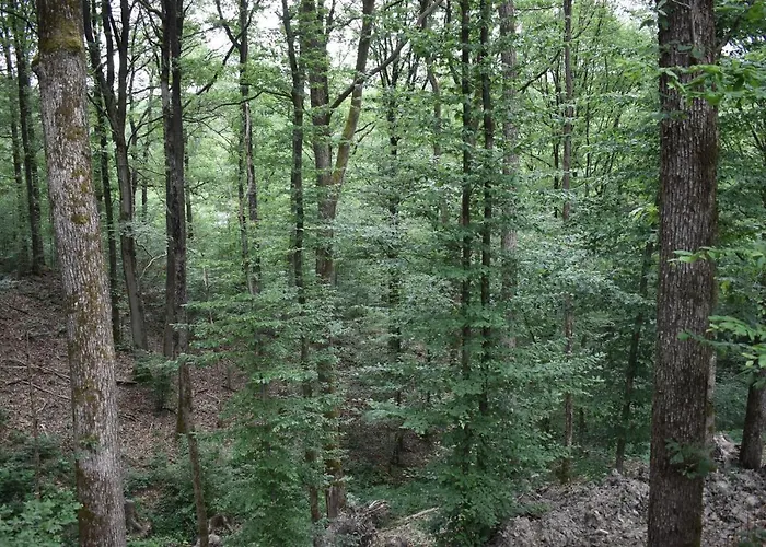 La Aux Ecureuils Philippeville